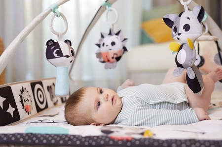 Tiny Love Gimnastyka Dla Bobasa z Pałąkiem Magiczna Kraina cz/b