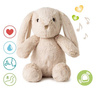 Cloud B Szumiący Królik z Czujnikiem Ruchu i Pozytywką Billy Bunny