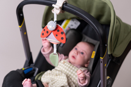 Taf Toys Pozytywka Garden Biedronka – Zabawka Muzyczna z Melodiami i Białym Szumem