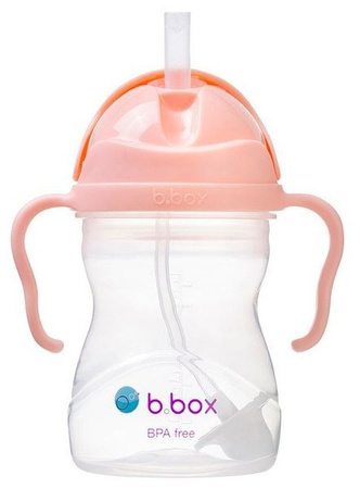 B.Box Innowacyjny Bidon Ze Słomką Tutti Frutti